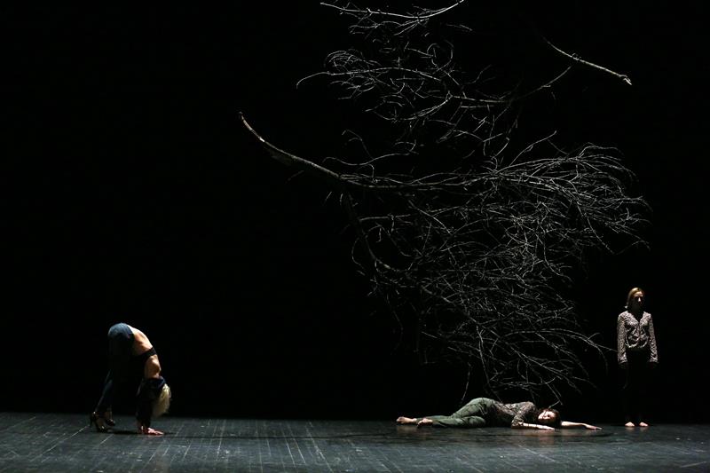 Festival de danse et de théâtre non verbal